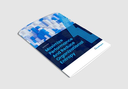 Whitepaper-Maximize Performance And Reduce Organizational Entropy